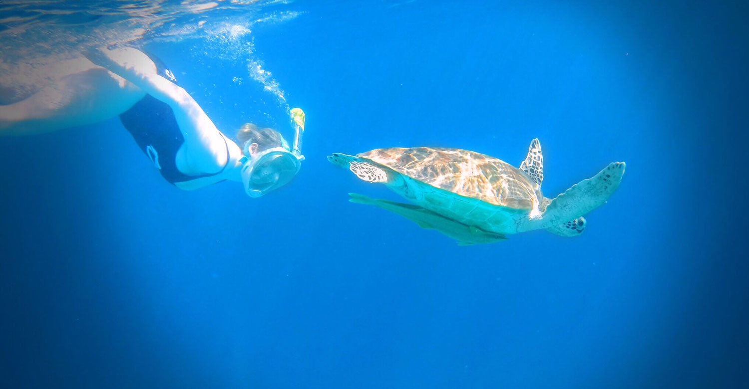 Diving with turtles in the Philippines
